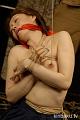 _HKA0186